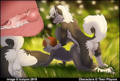 Yaoi Furry gallery 2- 94 images - part 2